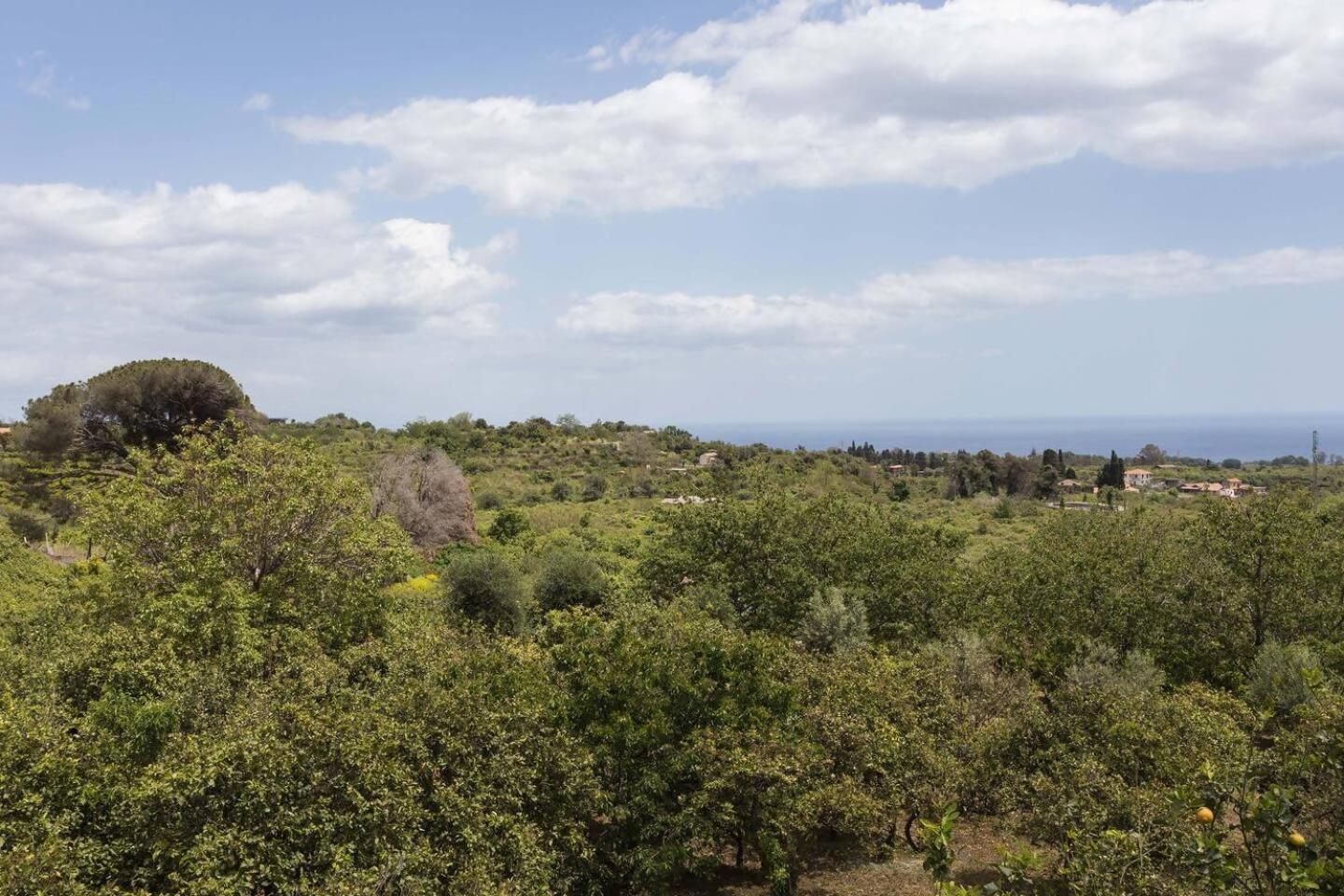 Villa Ginevra Santa Venerina Εξωτερικό φωτογραφία