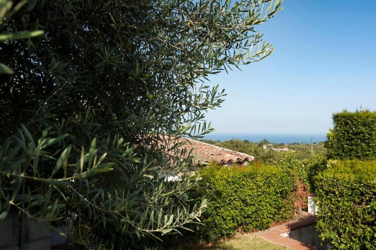 Villa Ginevra Santa Venerina Εξωτερικό φωτογραφία